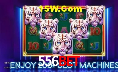 Experiência VIP 556Bet